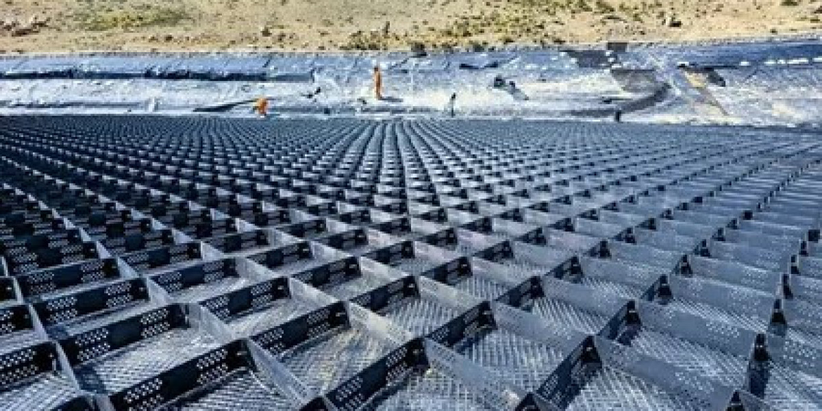 Geosynthetics Industry Analysis in South Asia2025 Growth, Trends Analysis Report 2035