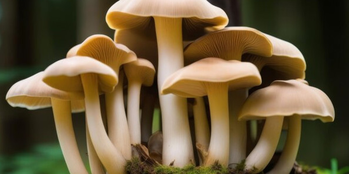 Booming Acres Presents: The Ultimate Guide to Mushroom Cultivation Kits