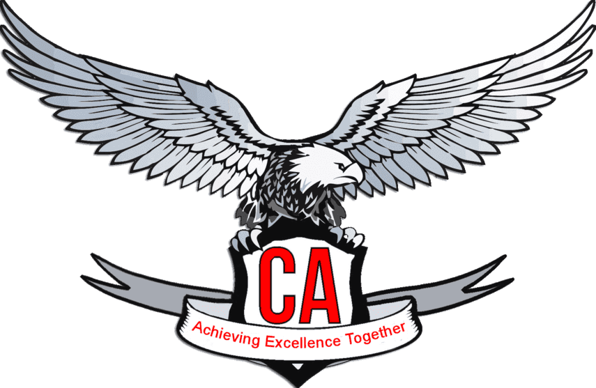 CA Final Notes September 2025  by all Faculties | Important Notes | Download Pdf
