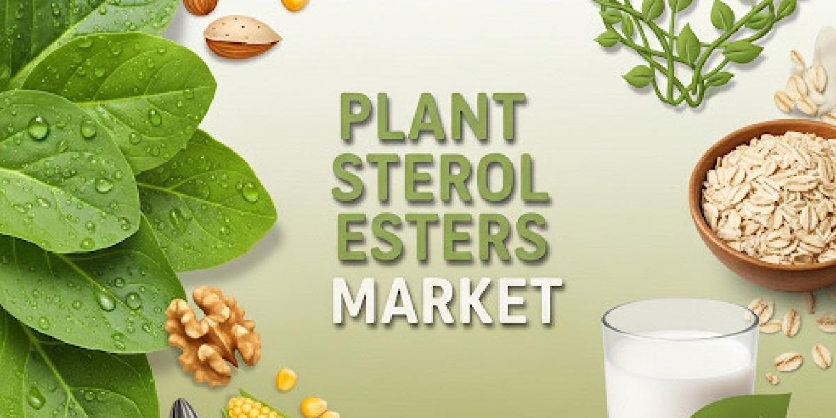 Plant Sterol Esters Market In Depth Analysis, Growth Strategies and Comprehensive Forecast 2025 to 2035