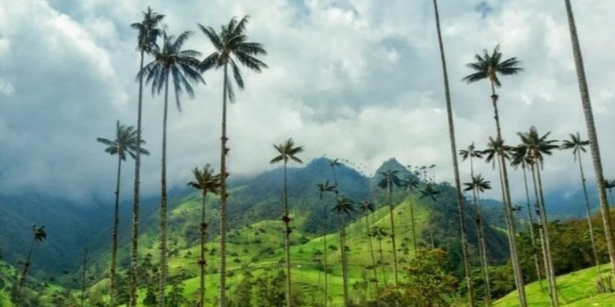 Vive Mas Tours: Your Next Great Story Starts Now