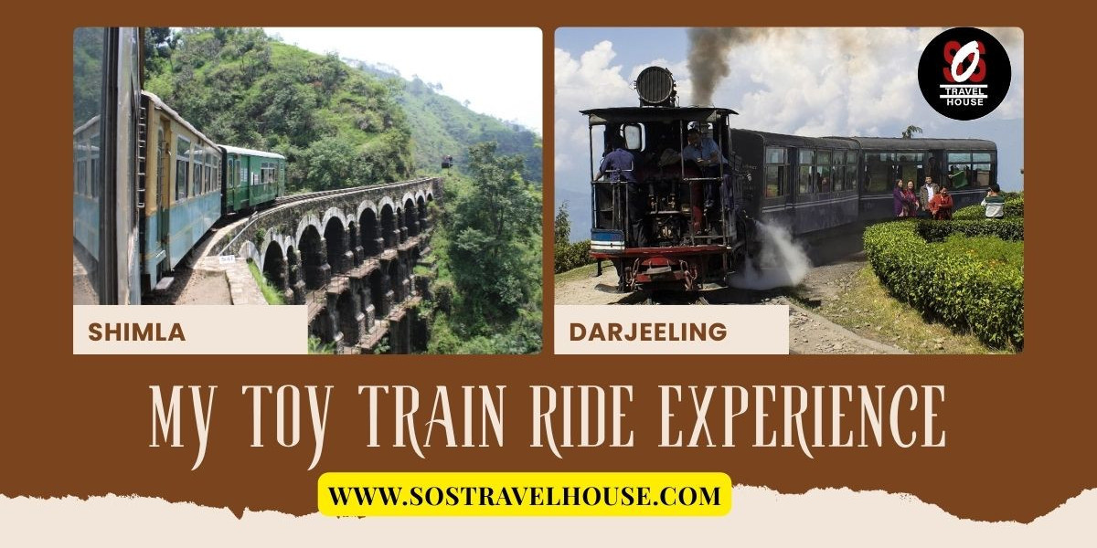 Find the Best Darjeeling Tours on a Budget of 10000