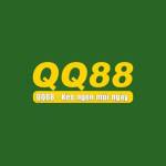 qq88io com
