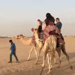 dubaidesert safariprice