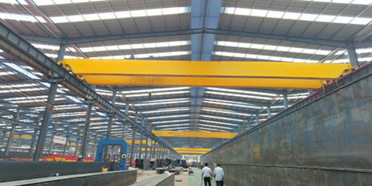 Single Girder EOT Crane Successful Case
