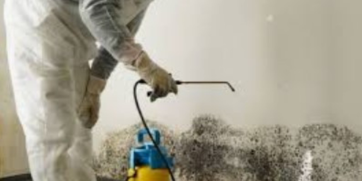 Eliminating Health Hazards with Expert Mould Cleaning Services by Biohazard Cleaners