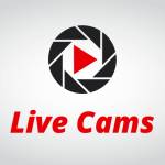 live cams
