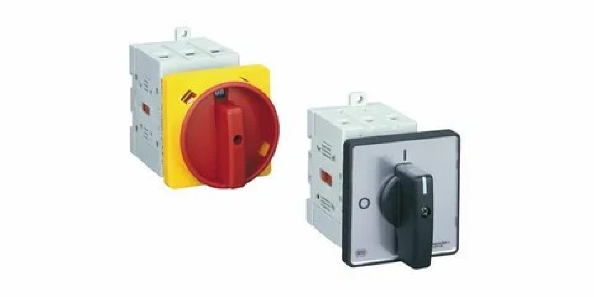 Disconnect Switches Market Trends 2025 | Segmentation, Outlook, Industry Report to 2035