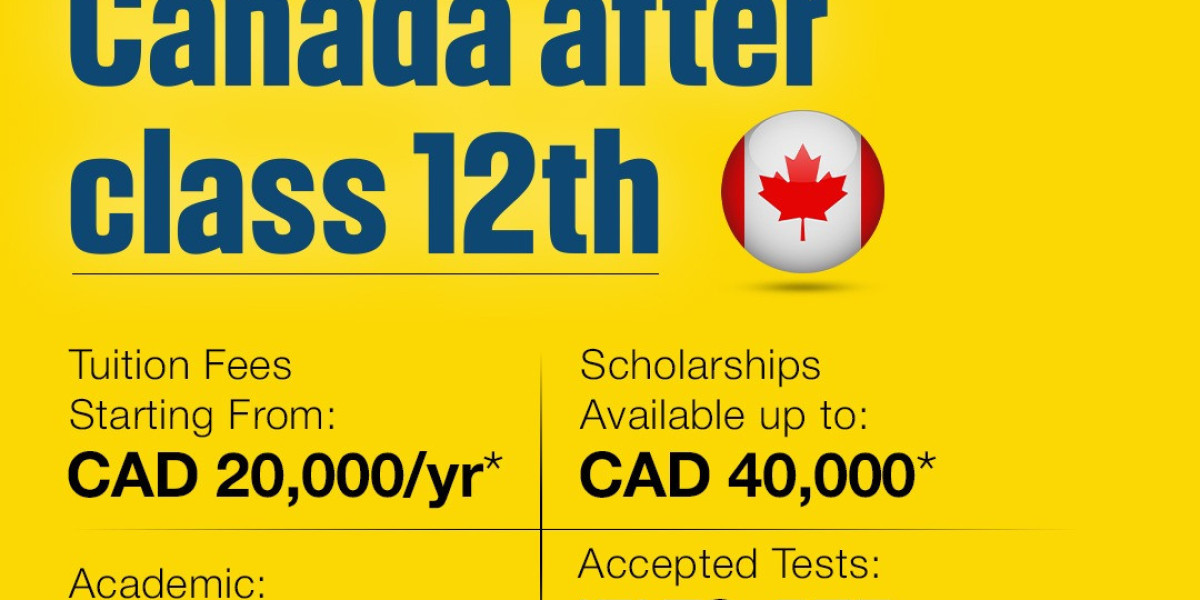 Study Bachelors in Canada