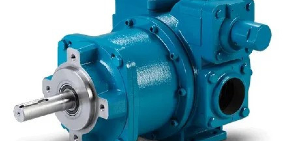 Future Opportunities and Strategic Insights for Vane Pump Market