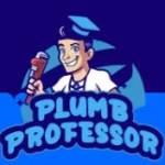 Plumb Professor