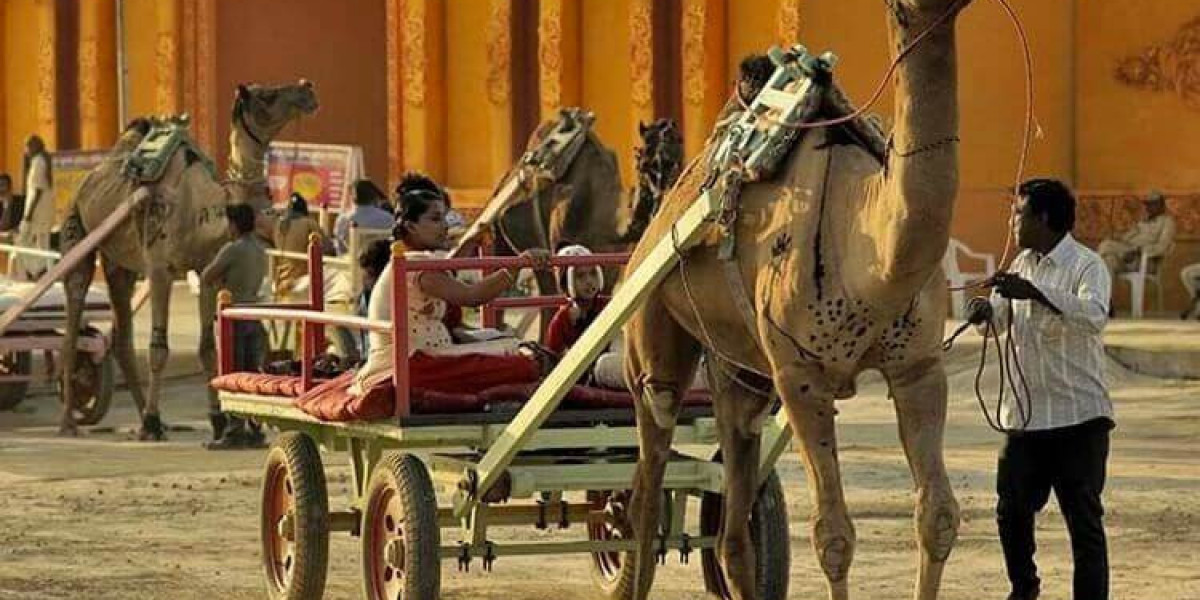 Be Festival-Ready: Key Dates for Rann Utsav Planning