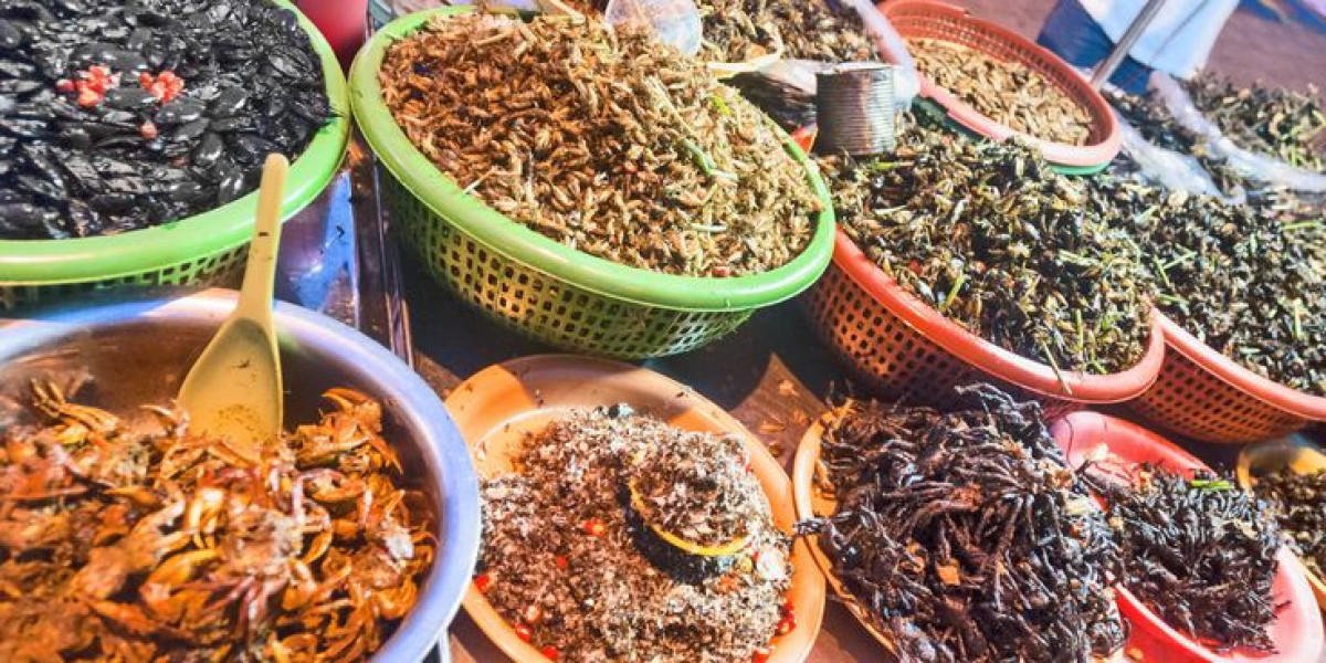 Japan Insect Feed Market Size, Business Growth and Driver by 2035