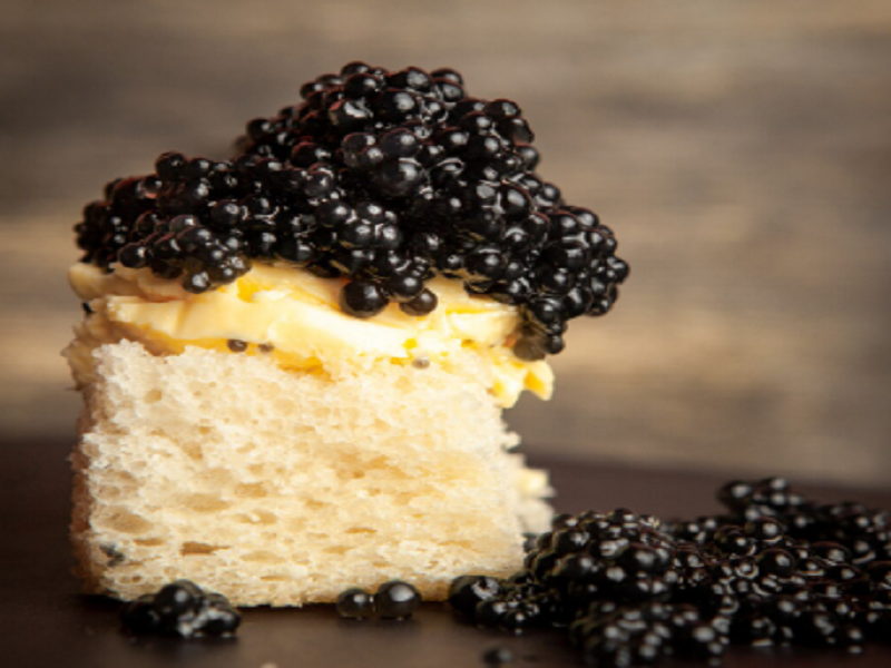 Premium Caviar in Dubai | Luxury Delights by WNF Caviar Heritage