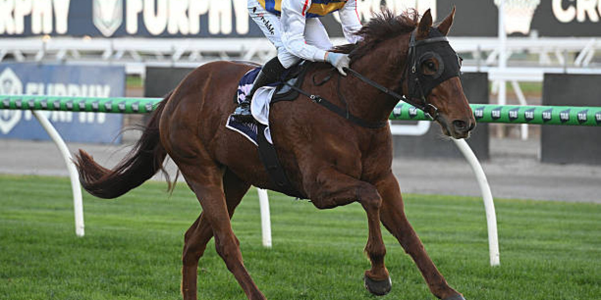 Your Guide to the Top VicBet Experience: What Every Punter Should Know