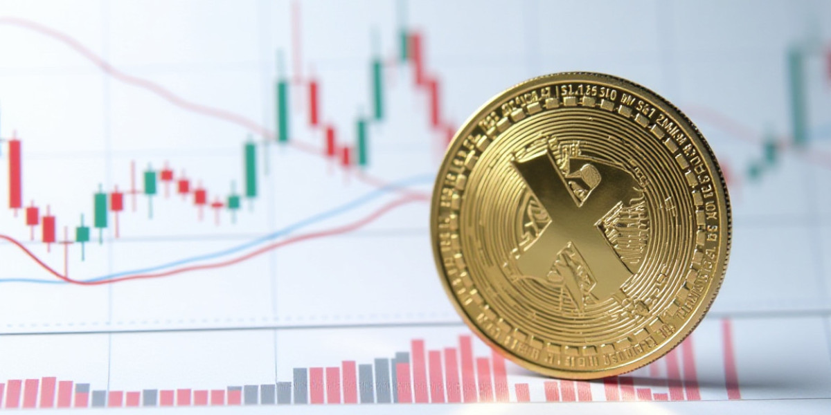 Ripple Investors Alert: XRP Price in USD Trends Explained