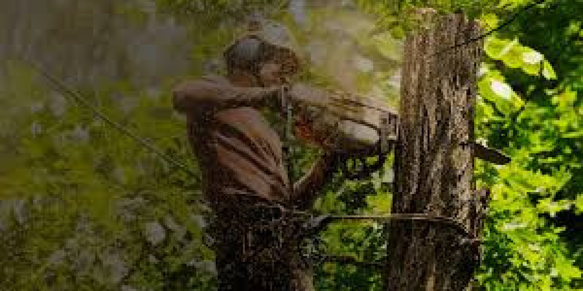 Tree Surgeon Wolverhampton – Quality Tree Maintenance Services