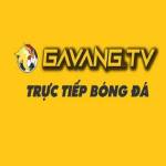 GavangTV Xem bóng đá trực tiếp Full HD