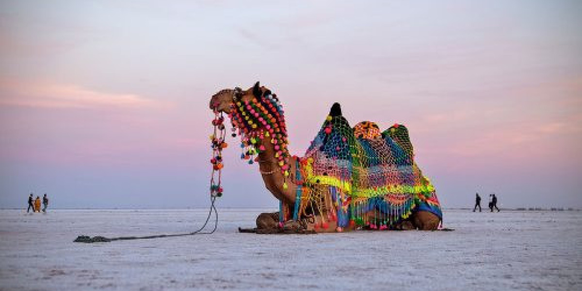 4-Day Kutch Tour Deluxe: Exclusive Comfort Meets Culture