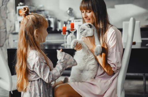 Luxury Dog Grooming Services in Dubai for Your Furry Friend | by Vroom Groom - Pet Grooming Services in Dubai | Aug, 2025 | Medium