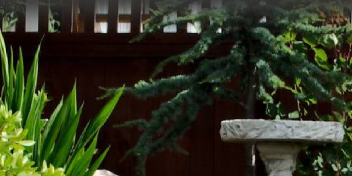 Expert Landscaping Pymble Services | Prime Landscaping Solutions