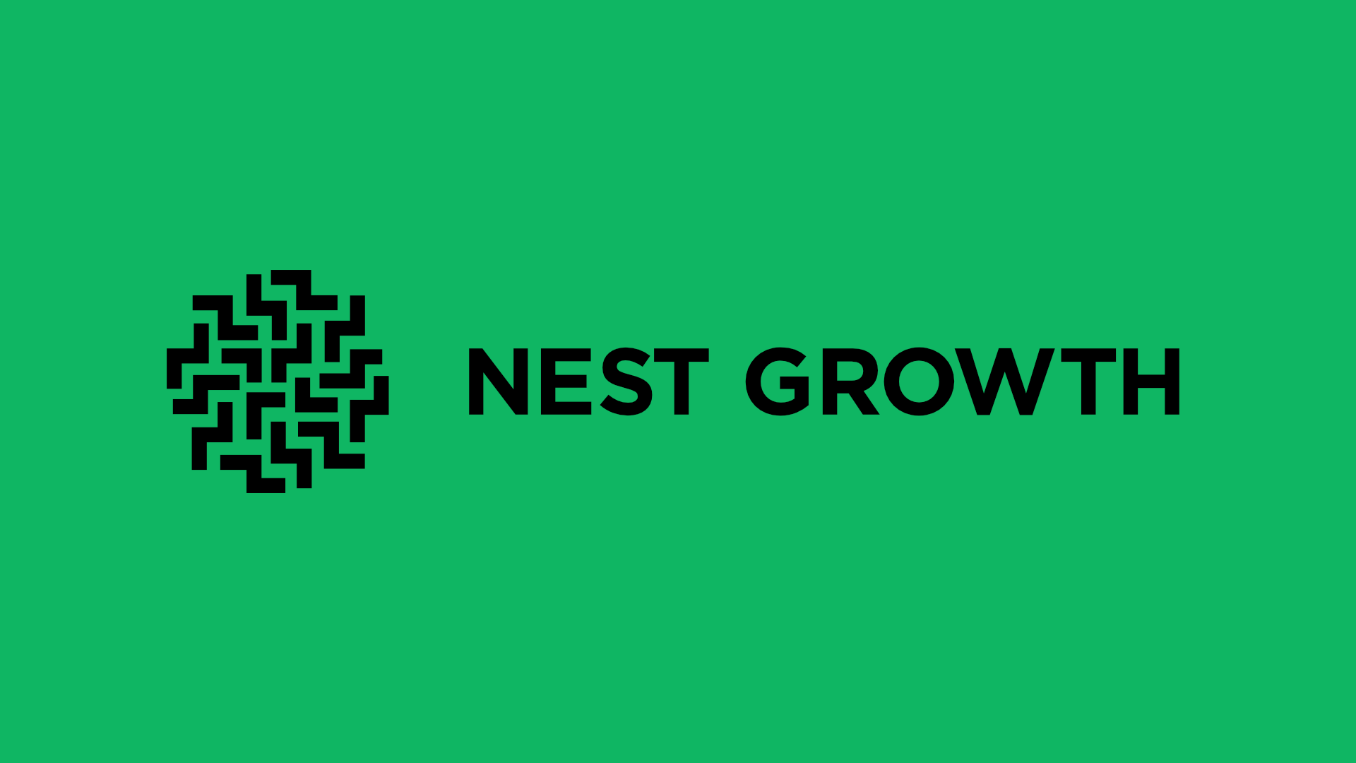 Seis Eis And Fundraising Guidance | Nest Growth