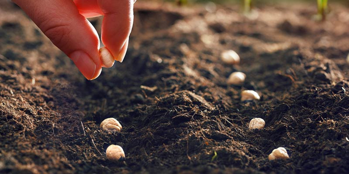 Global Seed Treatment Market Growth, Trends, and Strategic Insights 2025-2032