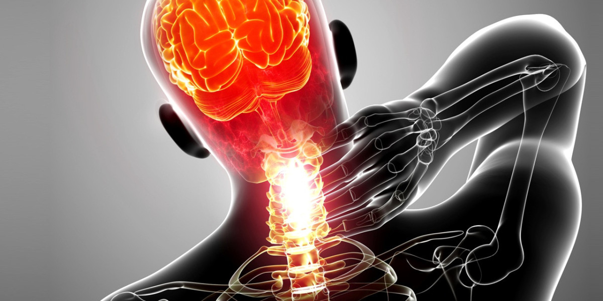 Pain Management Therapeutics Market Size, Trends, and Key Strategic Insights