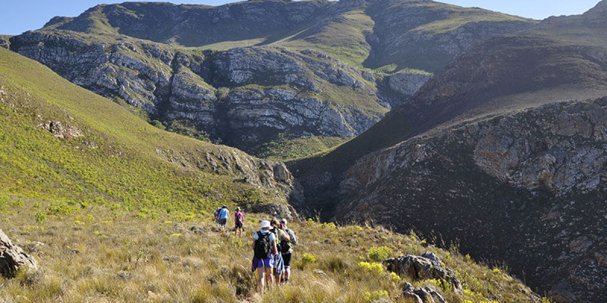 Discover the Hidden Wonders of Elgin Western Cape and Slackpacking Trails