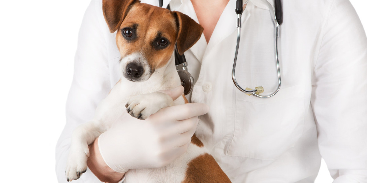 Pet Cancer Therapeutics Market: Size, Trends, and Strategic Outlook 2025-2032