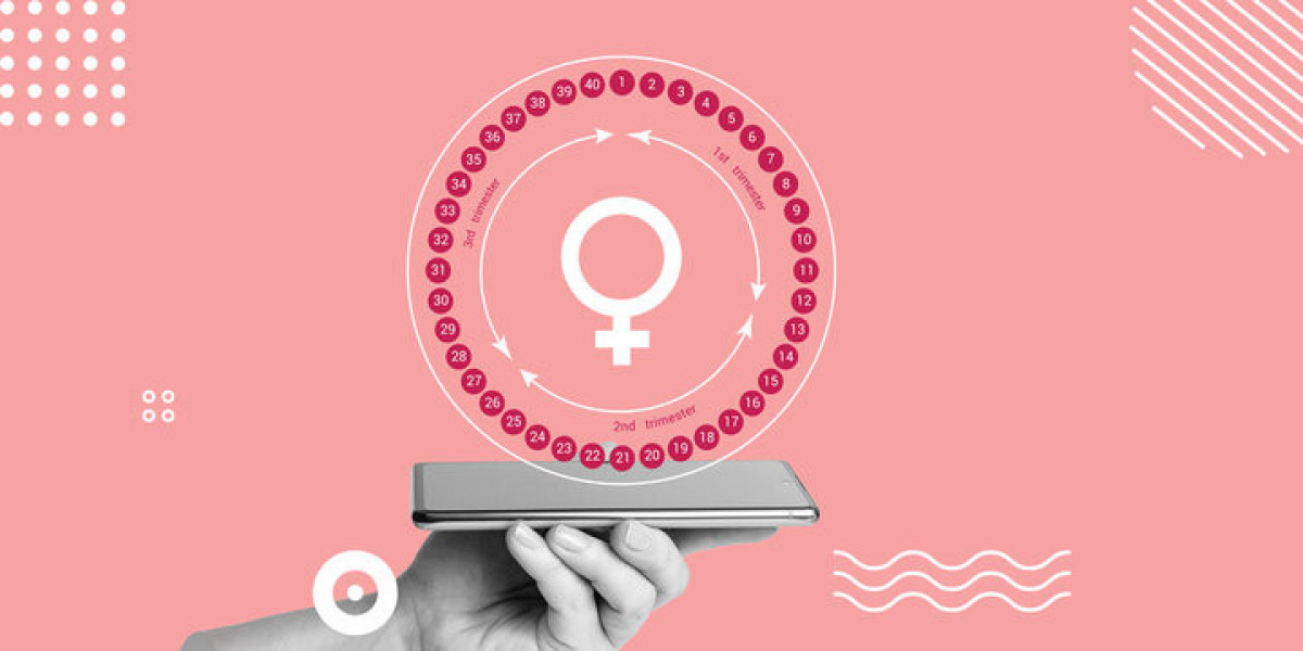 Global FemTech Market Growth and Strategic Outlook 2025-2032