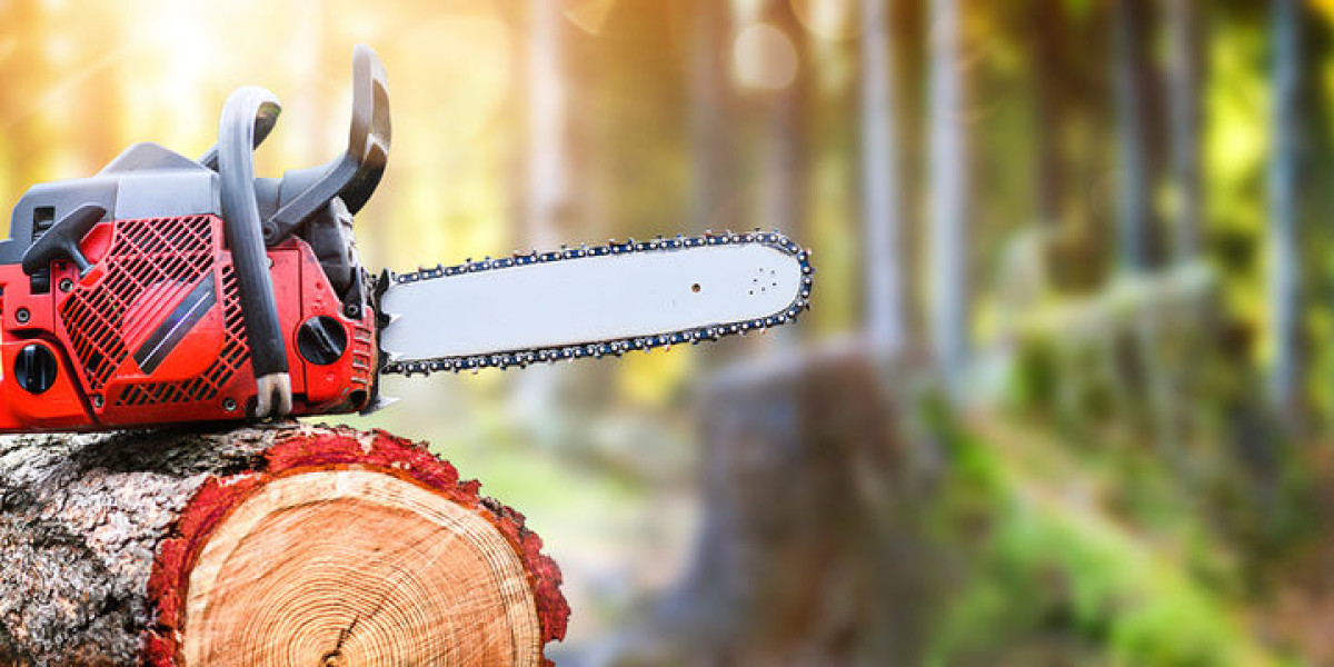 Chainsaw Market Size, Trends, and Strategic Outlook 2025-2032