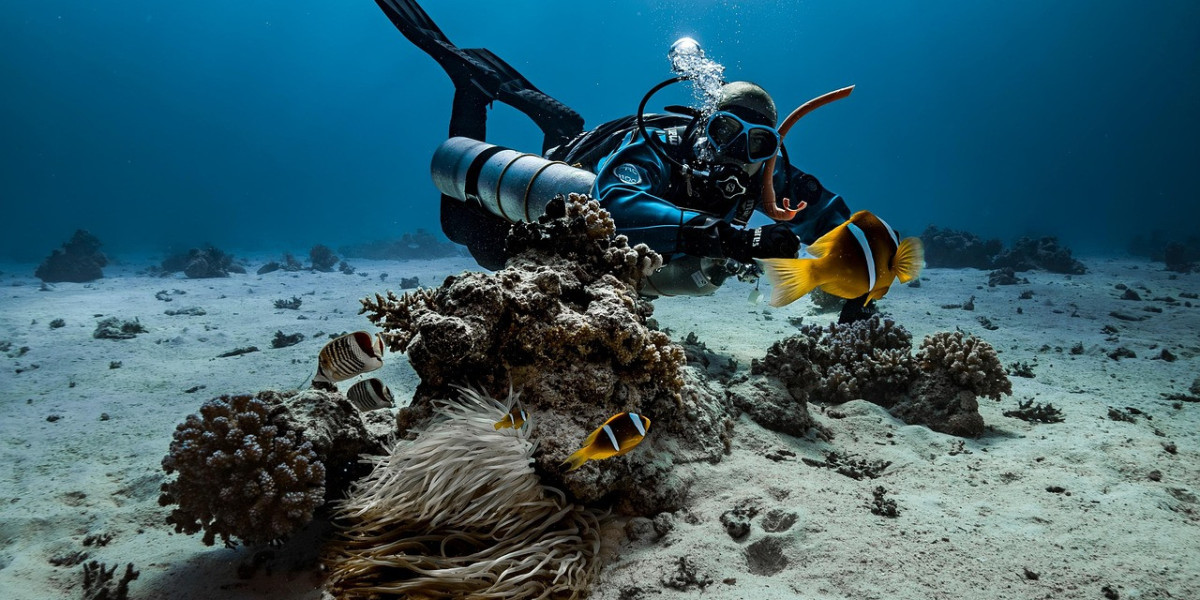 6 Reasons Why You Should Do Your Padi Instructor Course