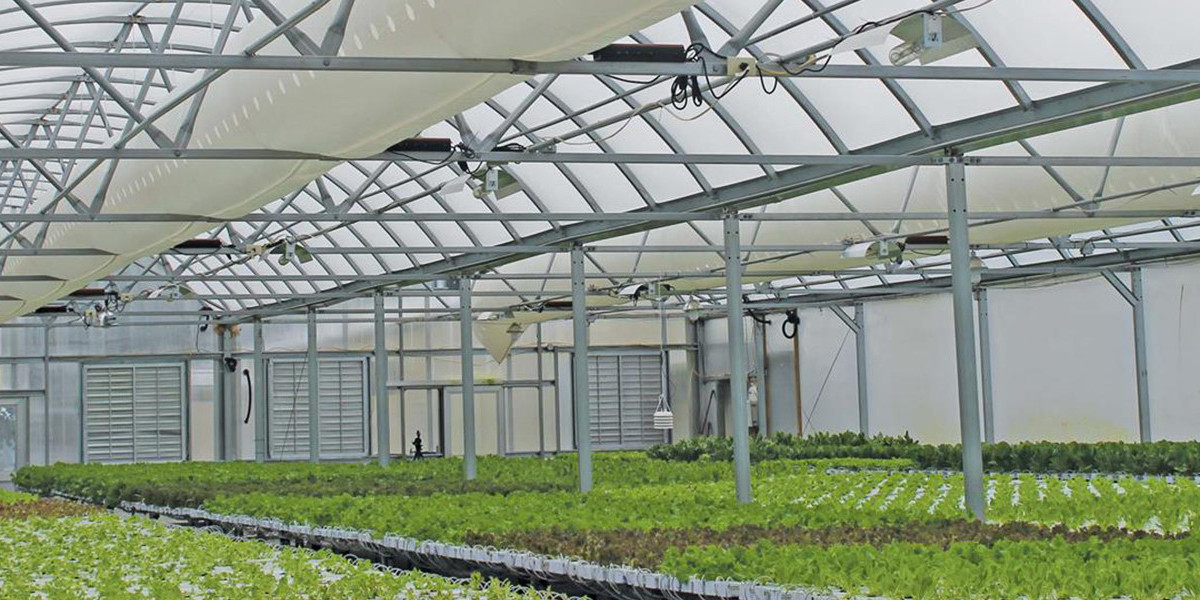 Accelerating Growth of the Commercial Greenhouse Market Through 2032