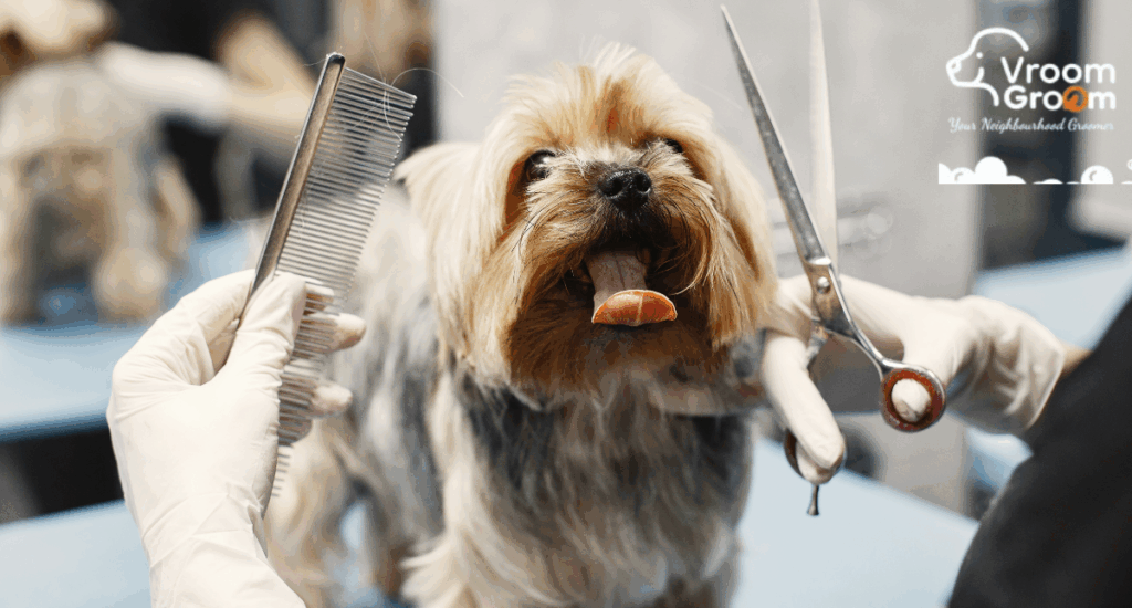 Top Dog Grooming Services Every Pet Parent Should Know About | by Vroom Groom - Pet Grooming Services in Dubai | Sep, 2025 | Medium