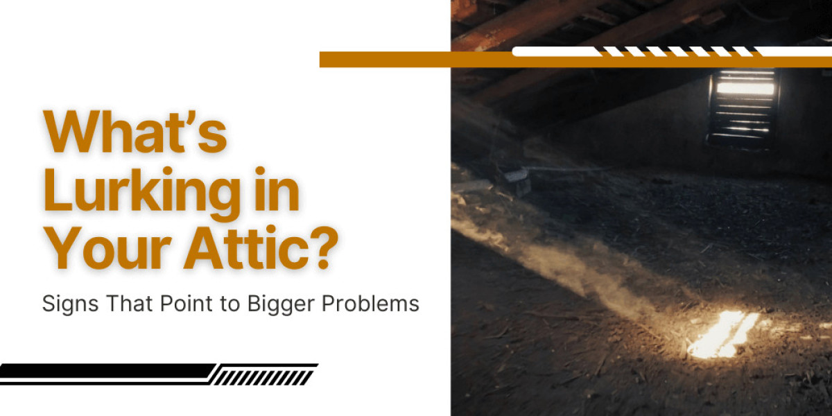 What’s Lurking in Your Attic? Signs That Point to Bigger Problems