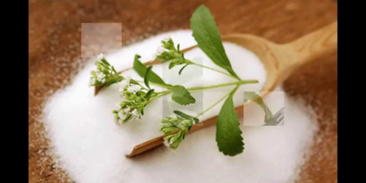 Stevia Market Insights: Product Types, Applications, and Competitive Landscape