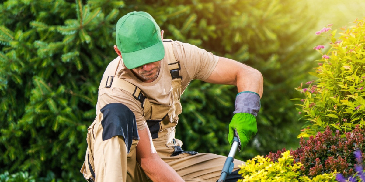 How HOA Management Services Improve Community Landscaping Standards