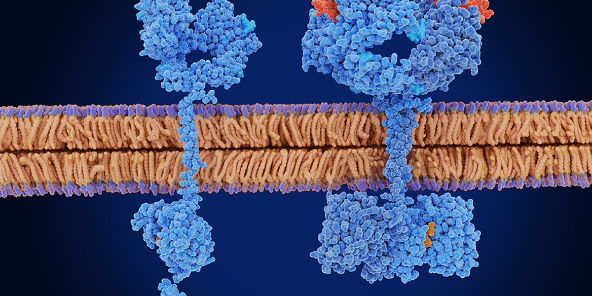 How Epidermal Growth Factors (EGF) Revolutionize Skincare and Wound Healing Industries Worldwide