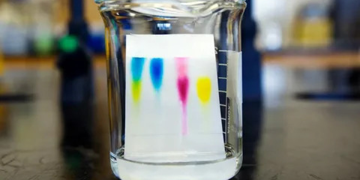 Vector Purification Market Size, Trends, Revenue, and Growth Analysis 2025-2032
