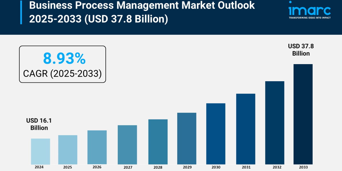 Business Process Management Market Trends, Share & Forecast Analysis 2025-2033