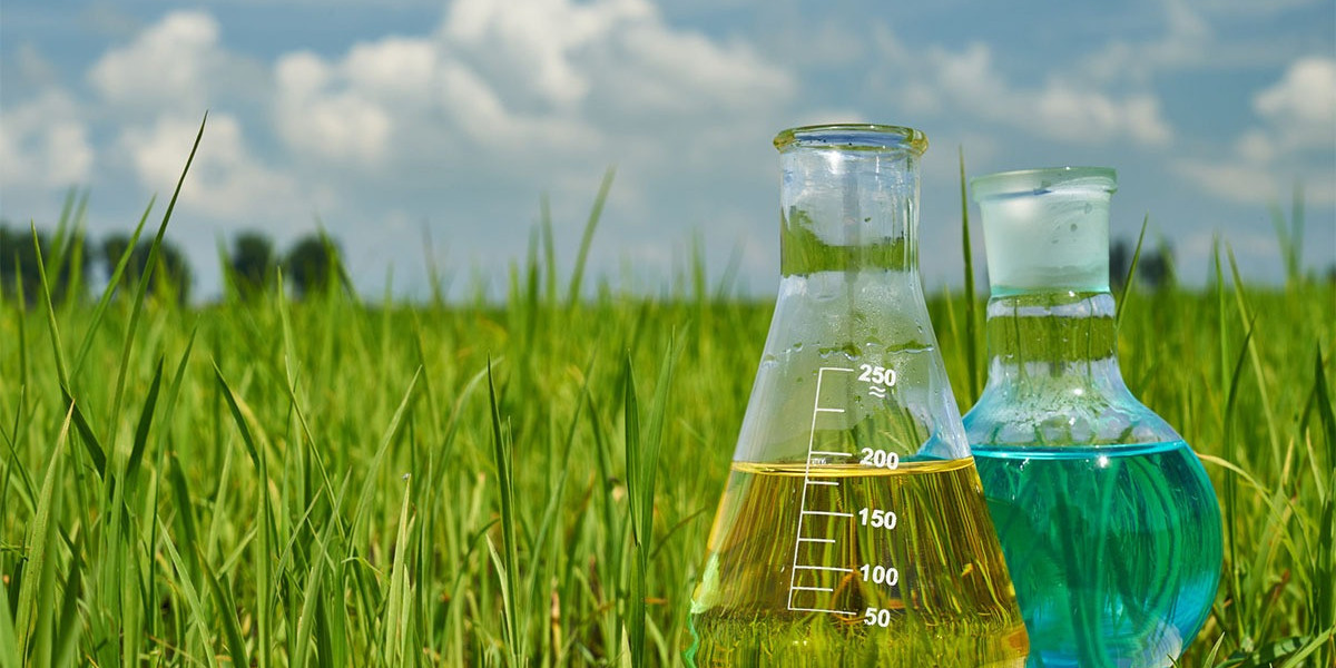 South East Asia Agrochemicals Market Growth, Size & Trends Forecast 2025-2033